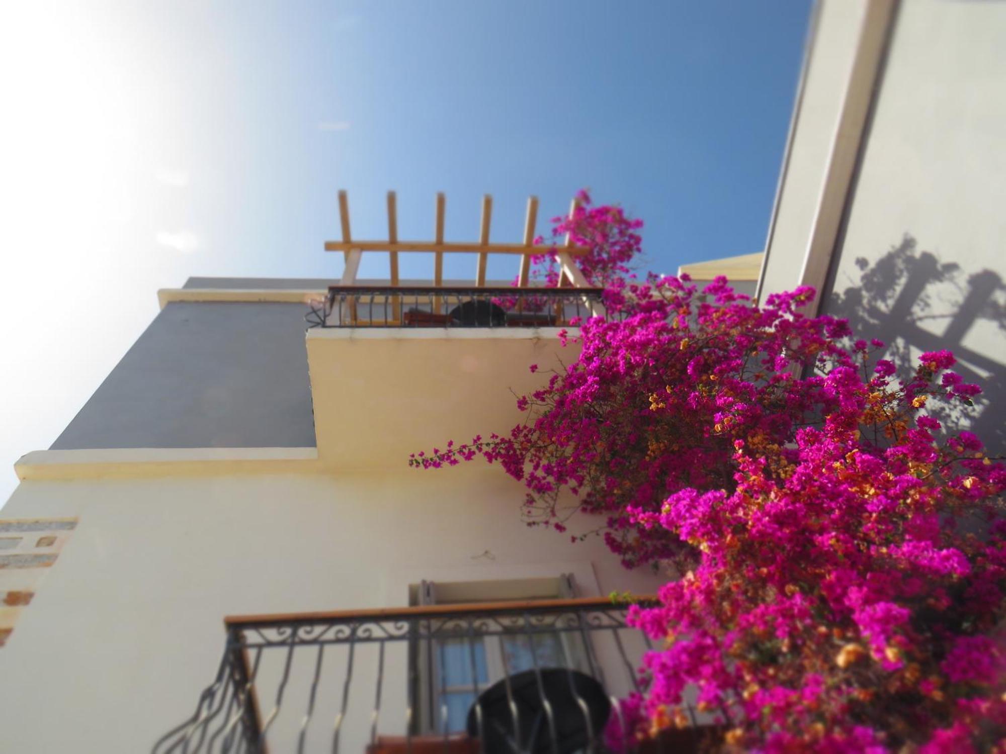 Axilleion Boutique Hotel Ermoúpoli Eksteriør bilde