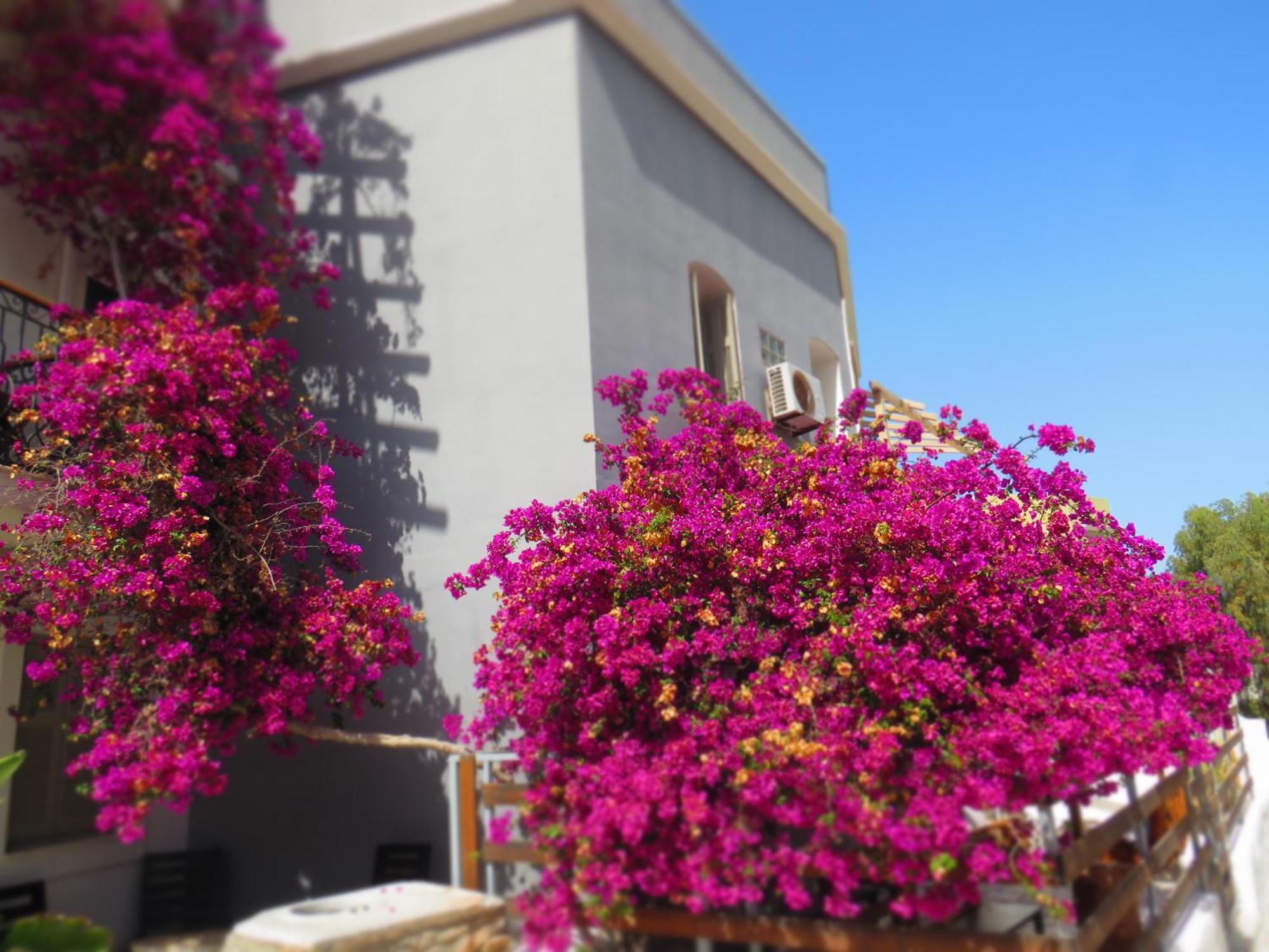 Axilleion Boutique Hotel Ermoúpoli Eksteriør bilde