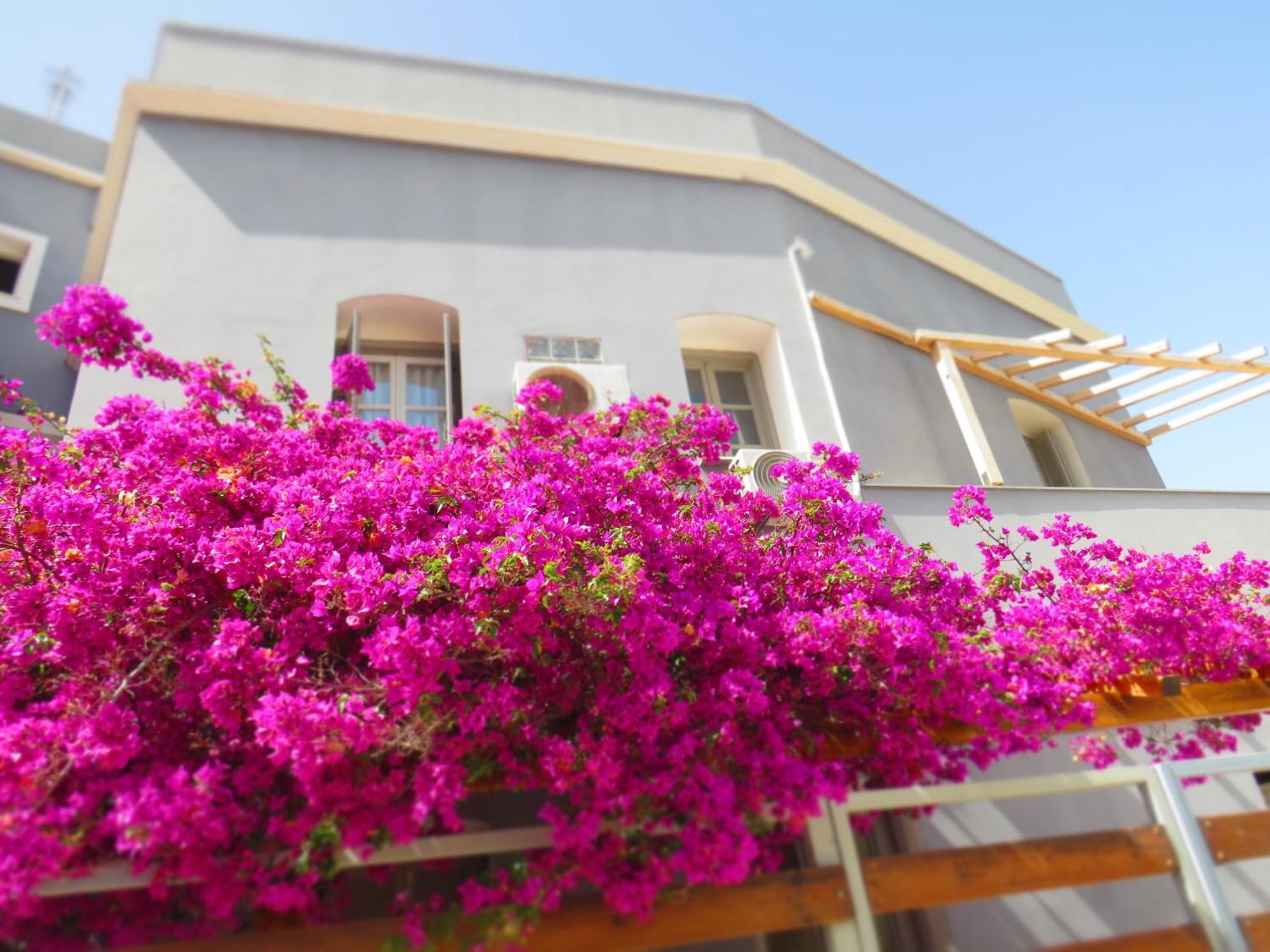Axilleion Boutique Hotel Ermoúpoli Eksteriør bilde
