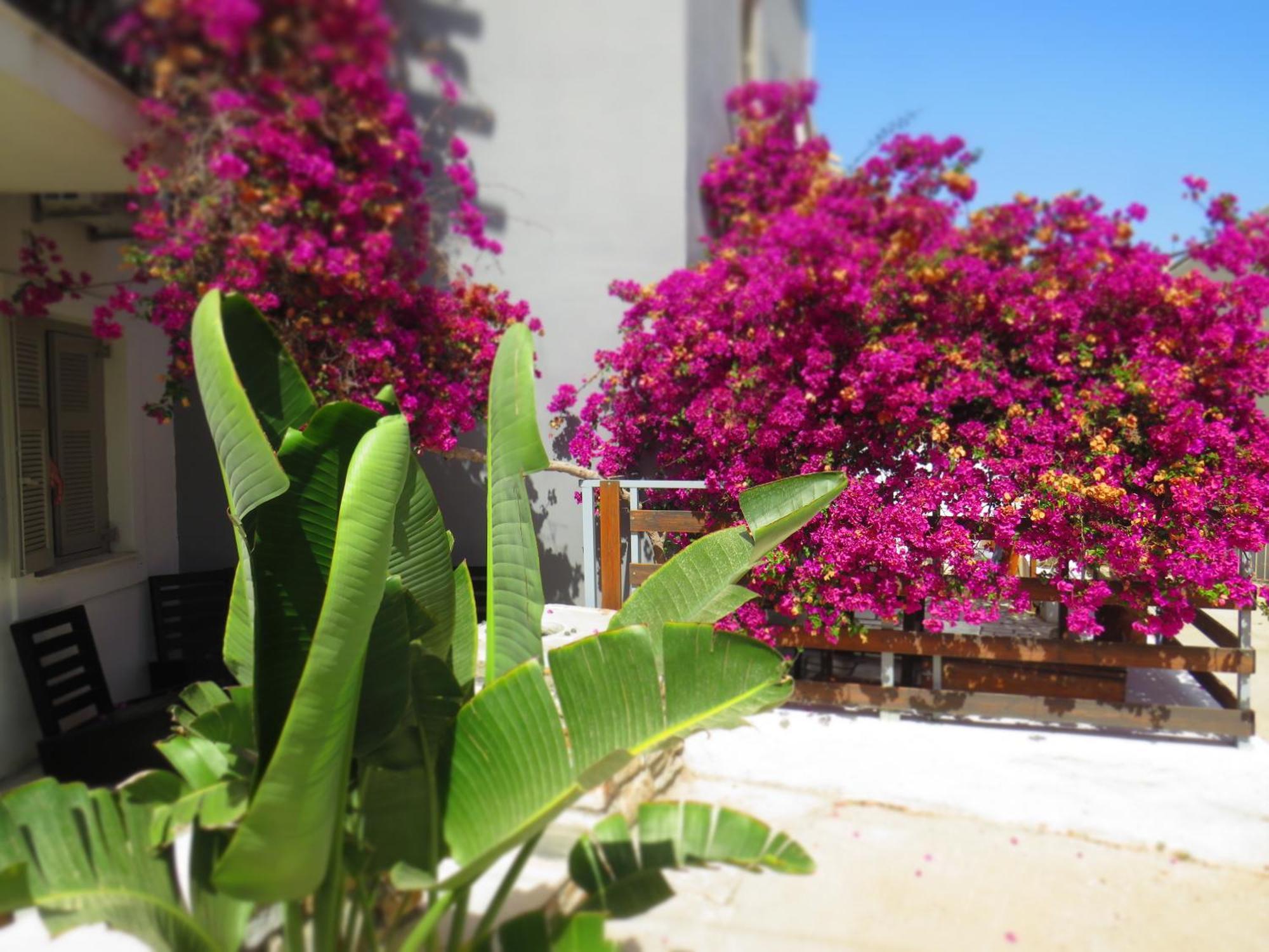 Axilleion Boutique Hotel Ermoúpoli Eksteriør bilde